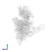 Small ribosomal subunit protein eS17 in PDB entry 6zvj, assembly 1, side view.