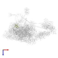 Small ribosomal subunit protein eS10 in PDB entry 6zvj, assembly 1, top view.