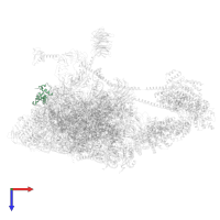 Small ribosomal subunit protein eS12 in PDB entry 6zvj, assembly 1, top view.