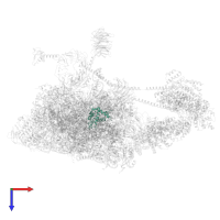 Small ribosomal subunit protein eS19 in PDB entry 6zvj, assembly 1, top view.