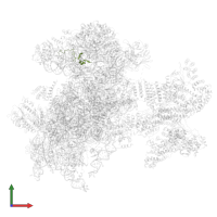 Small ribosomal subunit protein uS14 in PDB entry 6zvj, assembly 1, front view.