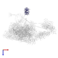 Eukaryotic translation initiation factor 3 subunit I in PDB entry 6zvj, assembly 1, top view.