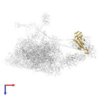 Eukaryotic translation initiation factor 3 subunit L in PDB entry 6zvj, assembly 1, top view.