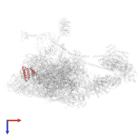 Eukaryotic translation initiation factor 3 subunit J in PDB entry 6zvj, assembly 1, top view.