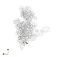 Small ribosomal subunit protein eS6 in PDB entry 6zvj, assembly 1, side view.