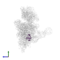 Small ribosomal subunit protein eS7 in PDB entry 6zvj, assembly 1, side view.