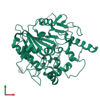 Palmitoleoyl-protein carboxylesterase NOTUM in PDB entry 6zyf, assembly 2, front view.