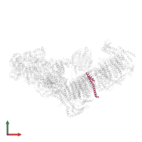 Excitatory amino acid transporter in PDB entry 7a23, assembly 1, front view.