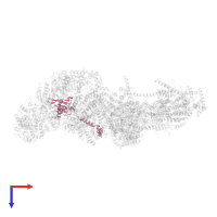 NADH dehydrogenase [ubiquinone] iron-sulfur protein 8-B, mitochondrial in PDB entry 7a23, assembly 1, top view.