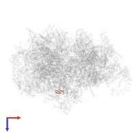 Large ribosomal subunit protein bL36m in PDB entry 7a5i, assembly 1, top view.