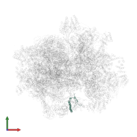 Large ribosomal subunit protein mL40 in PDB entry 7a5i, assembly 1, front view.