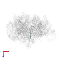 Large ribosomal subunit protein mL40 in PDB entry 7a5i, assembly 1, top view.