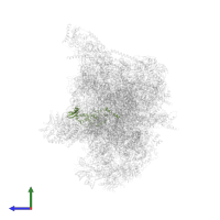 Large ribosomal subunit protein mL44 in PDB entry 7a5i, assembly 1, side view.