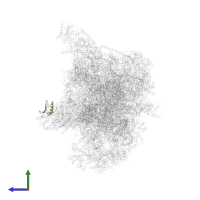 Large ribosomal subunit protein mL53 in PDB entry 7a5i, assembly 1, side view.