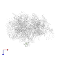 Large ribosomal subunit protein mL53 in PDB entry 7a5i, assembly 1, top view.