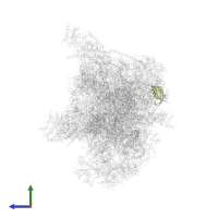 Small ribosomal subunit protein bS6m in PDB entry 7a5i, assembly 1, side view.