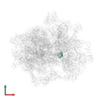 Small ribosomal subunit protein uS11m in PDB entry 7a5i, assembly 1, front view.