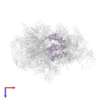 mt-tRNA in PDB entry 7a5i, assembly 1, top view.