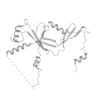 The deposited structure of PDB entry 7a6h contains 1 copy of Pfam domain PF19725 (DNA-directed RNA polymerase III subunit RPC5 C-terminal) in DNA-directed RNA polymerase III subunit RPC5. Showing 1 copy in chain M (this domain is out of the observed residue ranges!).