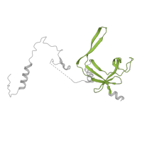 The deposited structure of PDB entry 7a6h contains 1 copy of Pfam domain PF05132 (RNA polymerase III RPC4) in DNA-directed RNA polymerase III subunit RPC4. Showing 1 copy in chain N.