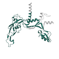 The deposited structure of PDB entry 7a6h contains 1 copy of Pfam domain PF01193 (RNA polymerase Rpb3/Rpb11 dimerisation domain) in DNA-directed RNA polymerases I and III subunit RPAC1. Showing 1 copy in chain C.
