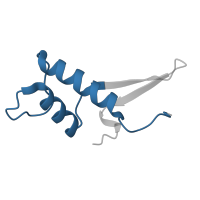 The deposited structure of PDB entry 7a6h contains 1 copy of Pfam domain PF01192 (RNA polymerase Rpb6 ) in DNA-directed RNA polymerases I, II, and III subunit RPABC2. Showing 1 copy in chain F.