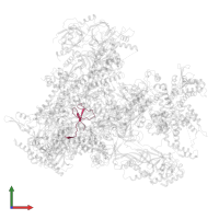 DNA-directed RNA polymerases I, II, and III subunit RPABC4 in PDB entry 7a6h, assembly 1, front view.