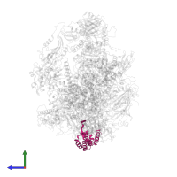 DNA-directed RNA polymerase III subunit RPC9 in PDB entry 7a6h, assembly 1, side view.