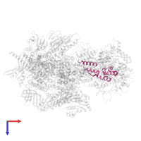 DNA-directed RNA polymerase III subunit RPC9 in PDB entry 7a6h, assembly 1, top view.