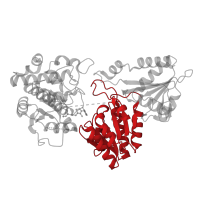 The deposited structure of PDB entry 7a9h contains 2 copies of Pfam domain PF02779 (Transketolase, pyrimidine binding domain) in 1-deoxy-D-xylulose-5-phosphate synthase. Showing 1 copy in chain B [auth BBB].