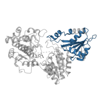 The deposited structure of PDB entry 7a9h contains 2 copies of Pfam domain PF02780 (Transketolase, C-terminal domain) in 1-deoxy-D-xylulose-5-phosphate synthase. Showing 1 copy in chain B [auth BBB].