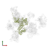 Pre-mRNA-processing-splicing factor 8 in PDB entry 7abg, assembly 1, front view.