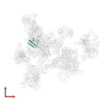 Protein BUD31 homolog in PDB entry 7abg, assembly 1, front view.