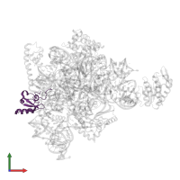 Small ribosomal subunit protein uS19 in PDB entry 7af3, assembly 1, front view.