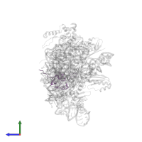 Small ribosomal subunit protein uS19 in PDB entry 7af3, assembly 1, side view.