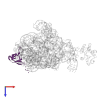 Small ribosomal subunit protein uS19 in PDB entry 7af3, assembly 1, top view.