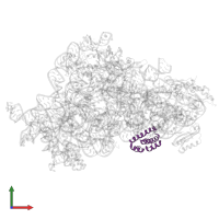 Small ribosomal subunit protein uS15 in PDB entry 7afl, assembly 1, front view.