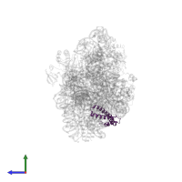 Small ribosomal subunit protein uS15 in PDB entry 7afl, assembly 1, side view.
