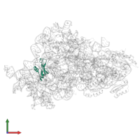 Small ribosomal subunit protein bS16 in PDB entry 7afl, assembly 1, front view.