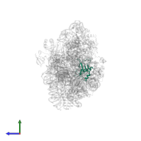 Small ribosomal subunit protein bS16 in PDB entry 7afl, assembly 1, side view.