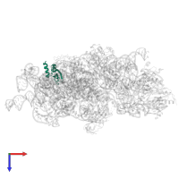 Small ribosomal subunit protein bS16 in PDB entry 7afl, assembly 1, top view.