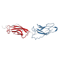 The deposited structure of PDB entry 7agf contains 6 copies of Pfam domain PF00028 (Cadherin domain) in Desmoglein-2. Showing 2 copies in chain B [auth D].