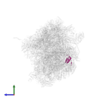 Ribosomal protein S6 in PDB entry 7ane, assembly 1, side view.