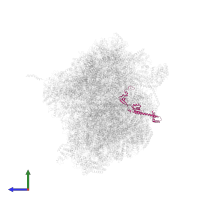 39S ribosomal protein L28, mitochondrial in PDB entry 7ane, assembly 1, side view.