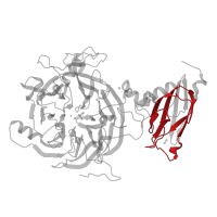 The deposited structure of PDB entry 7aq4 contains 2 copies of Pfam domain PF00116 (Cytochrome C oxidase subunit II, periplasmic domain) in Nitrous-oxide reductase. Showing 1 copy in chain B.