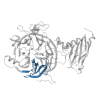 The deposited structure of PDB entry 7aq4 contains 2 copies of Pfam domain PF18764 (Nitrous oxide reductase propeller repeat) in Nitrous-oxide reductase. Showing 1 copy in chain B.