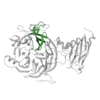 The deposited structure of PDB entry 7aq4 contains 2 copies of Pfam domain PF18793 (Nitrous oxide reductase propeller repeat 2) in Nitrous-oxide reductase. Showing 1 copy in chain B.