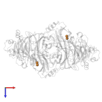 DINUCLEAR COPPER ION in PDB entry 7aq4, assembly 1, top view.