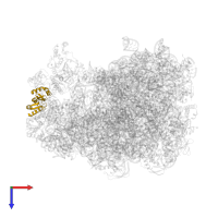 Large ribosomal subunit protein uL11 in PDB entry 7as8, assembly 1, top view.