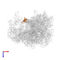 Uncharacterized protein YabO in PDB entry 7as8, assembly 1, top view.